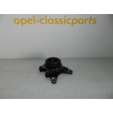 HALTER KPL.